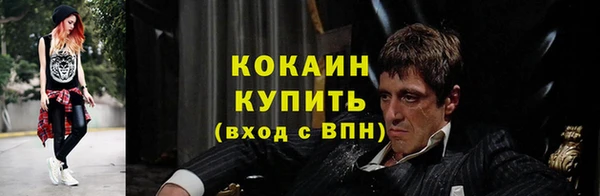 гидропоника Коряжма