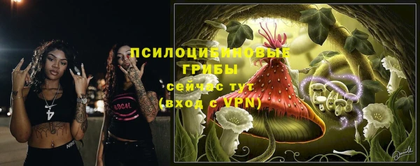скорость Краснослободск