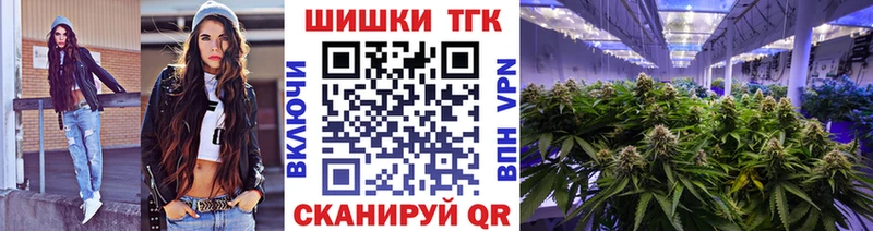 Бошки Шишки семена Судогда